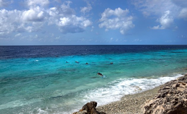 Bonaire, niet alleen diver's paradise