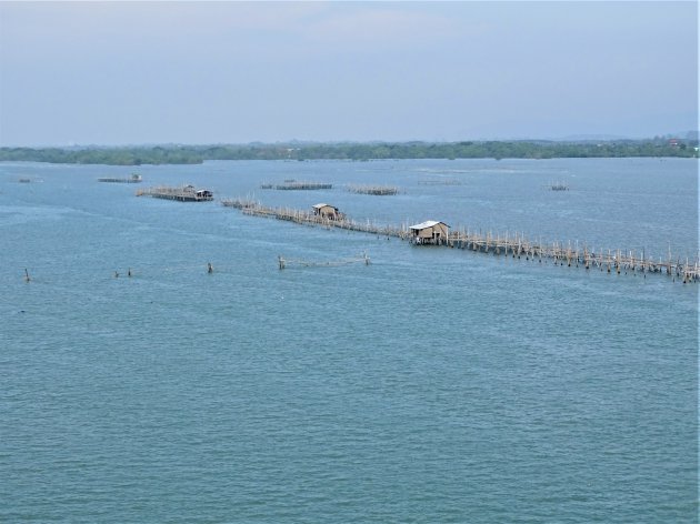 Viskwekerijen midden in rivierdelta.