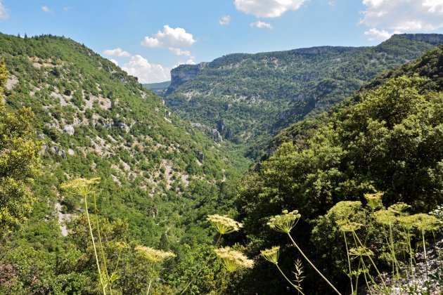 Gorges de la Nesque