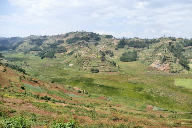 Onderweg naar Bwindi NP