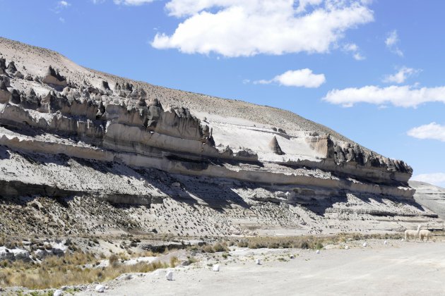 Reserva national de salinas y aguada blanca