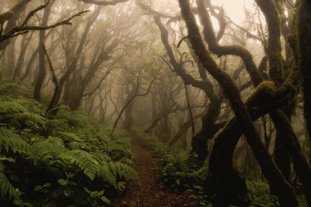 La Gomera, een wandelparadijs