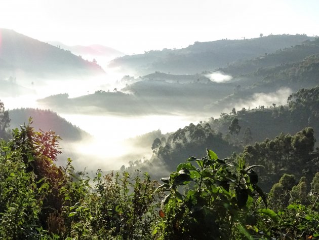 Mzungu in the mist