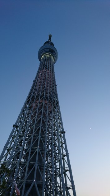 Sky Tree