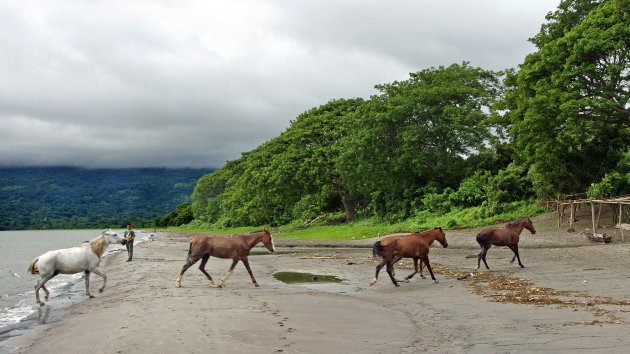 Tijd tekort op Isla de Ometepe