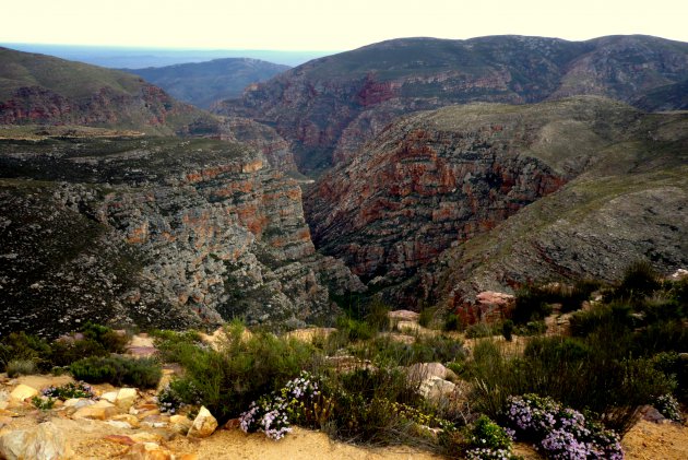 Kleine Karoo