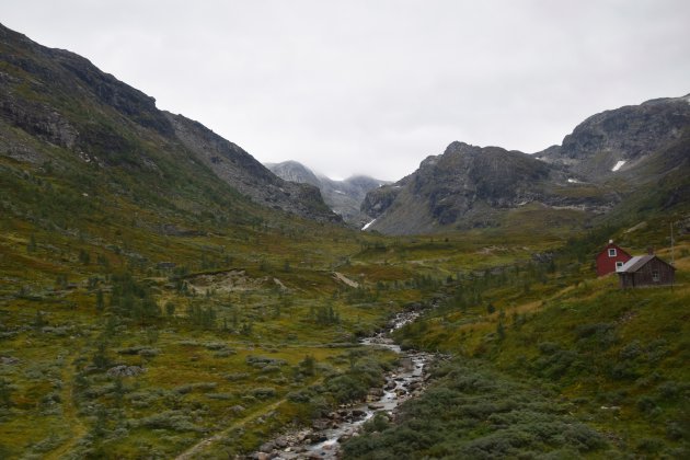 The Bergen Railway