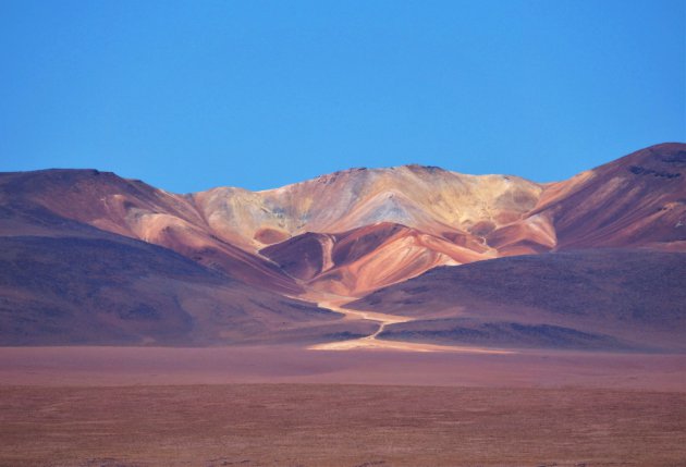 Solo con el viento