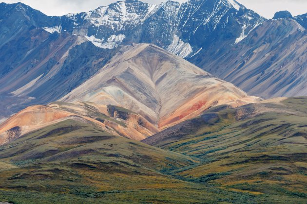 Denali Natuurpark.