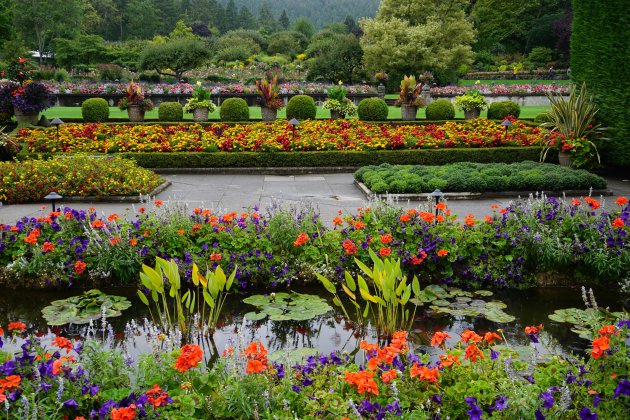 Bloemenpracht in Butchart Gardens