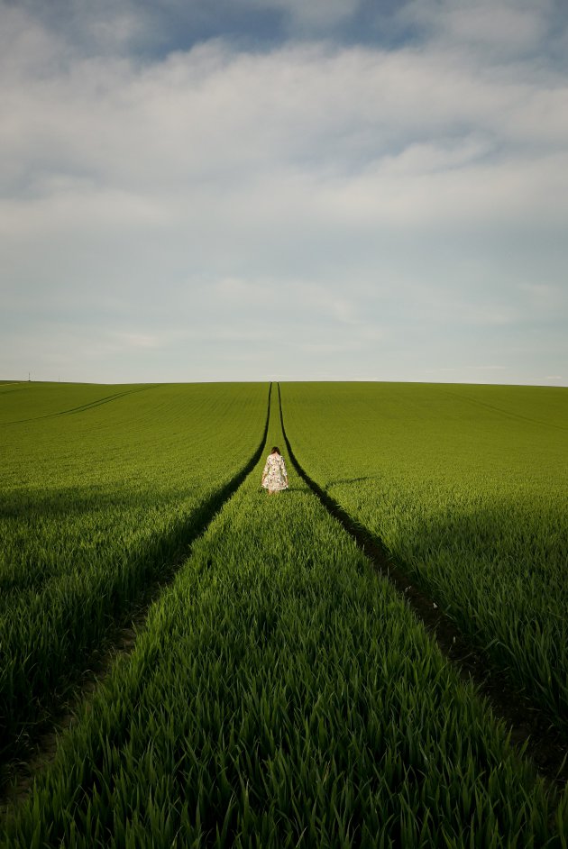 Fields of France