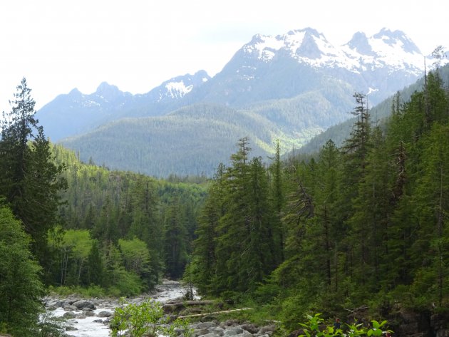 Onderweg op Vancouver Island