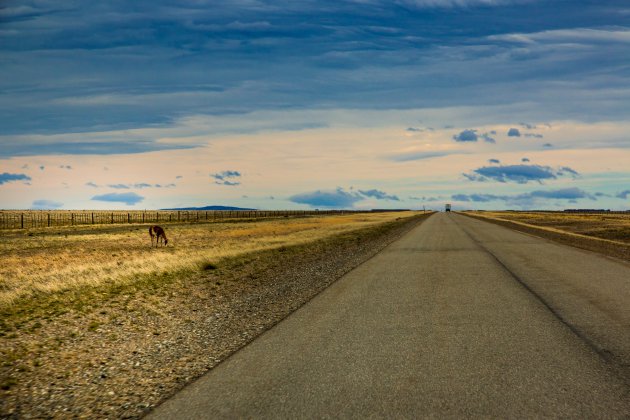 De prachtige leegte van Argentijns Patagonië