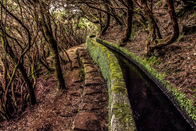 Levada do Rei