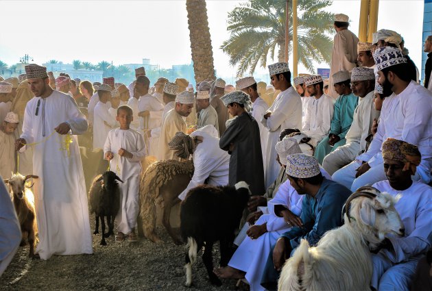 Geitenmarkt in Nizwa.