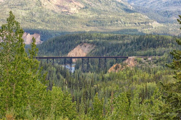 Spoorbrug Denali