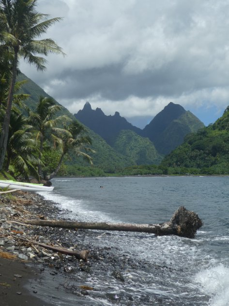 Het bijzondere ontstaan van de Society Islands