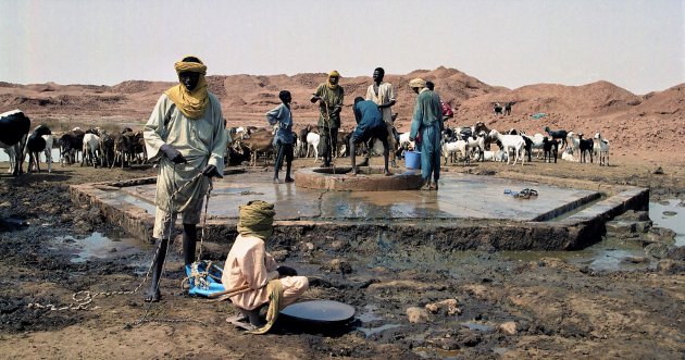 Waterbron in de Sahara