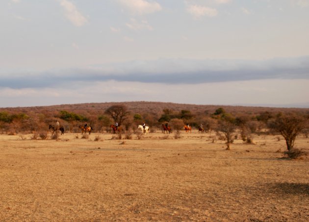 Te paard op safari