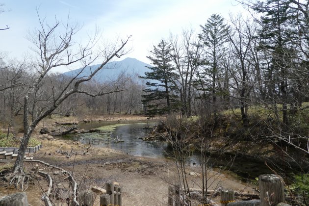 Natuur rond Nikko