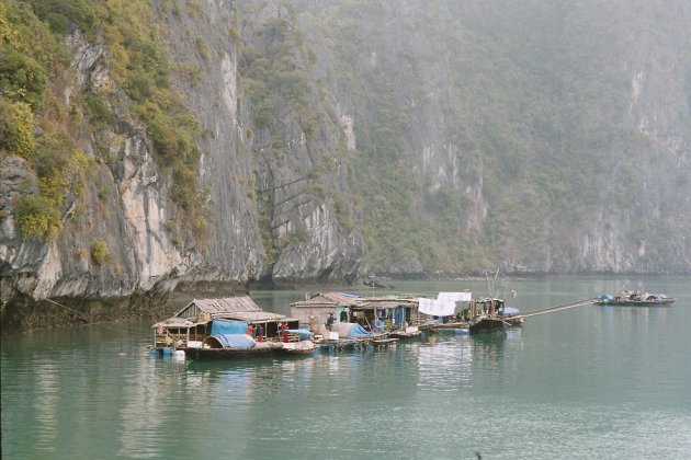 Mistig Halong Bay