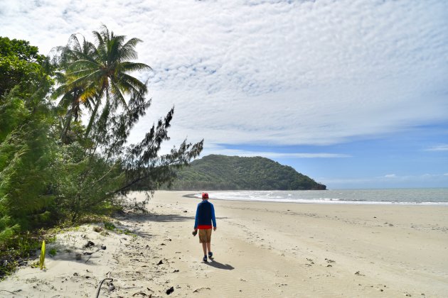 Cape Tribulation