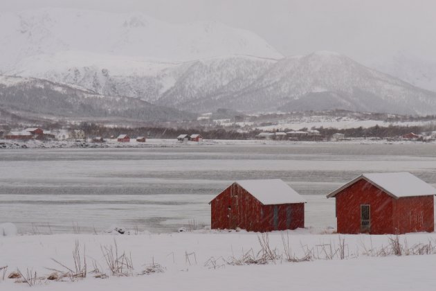 wisselvallig