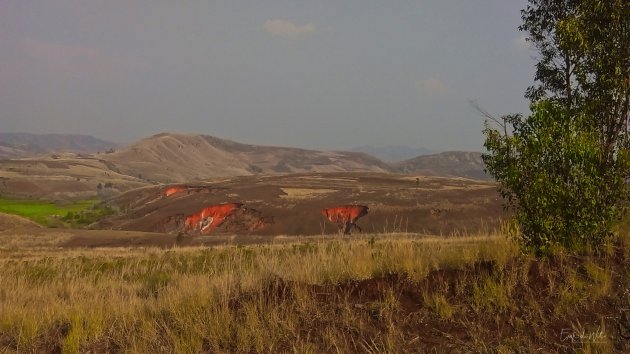 Landschap zonder bomen....