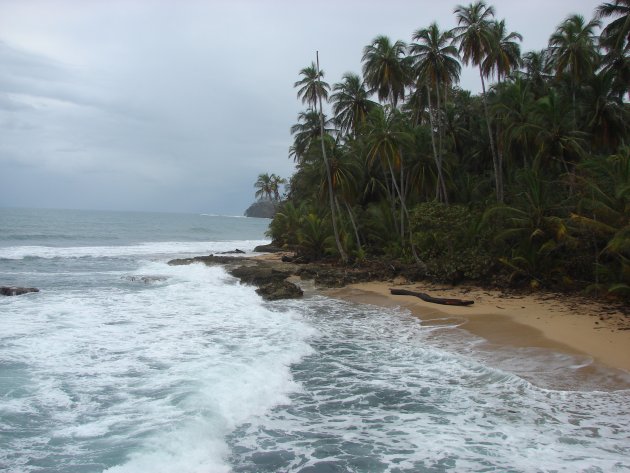 Strand aan de Caribische kust