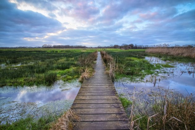 Wandelen in Westerwolde