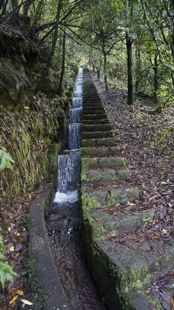 Wandelen langs de levada's