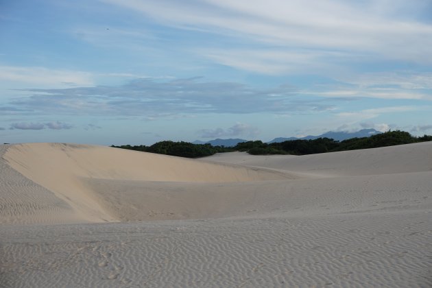 Wandelen in de zandduinen