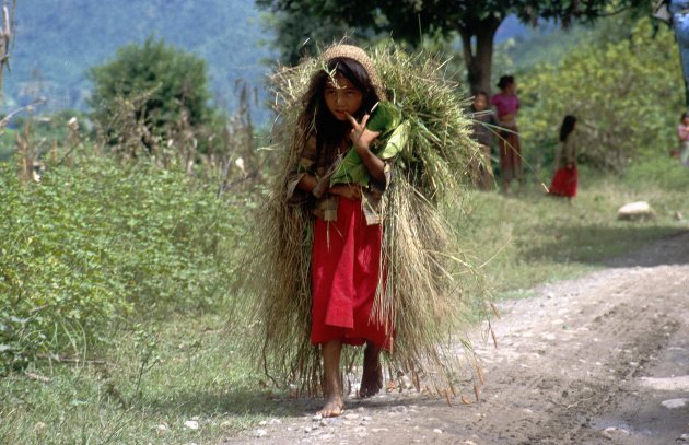 Nepal onderweg