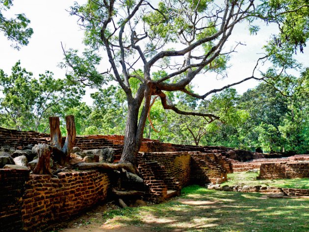 Sigiriya