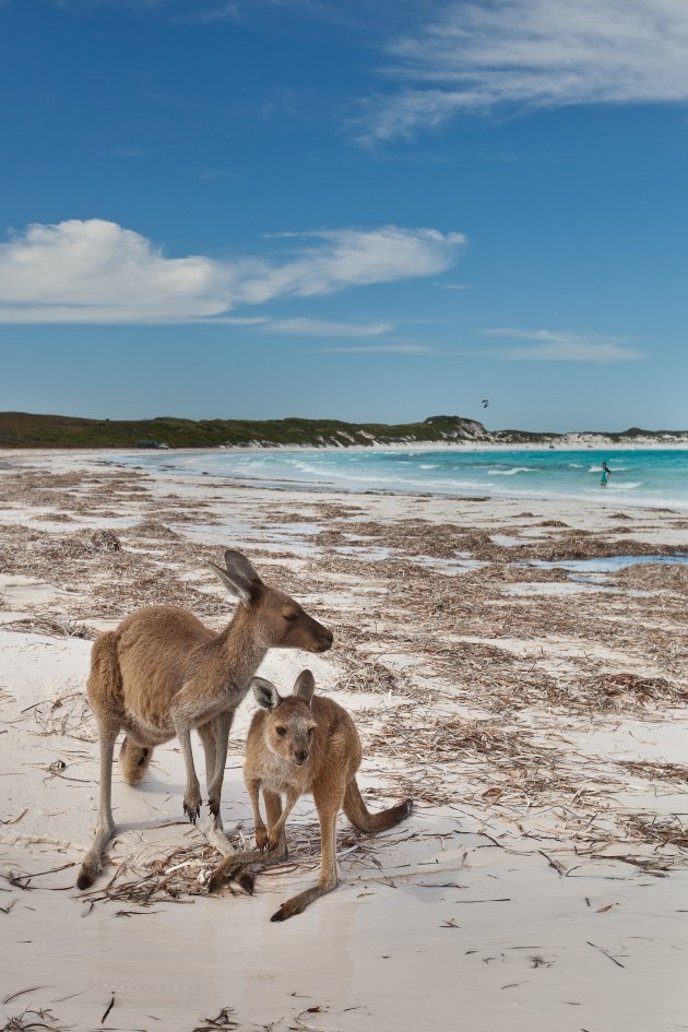 Lucky Day in Lucky Bay