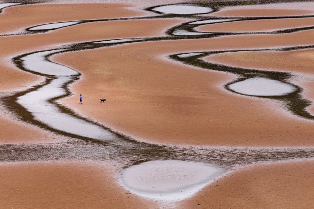 Hond uit laten op een bijzonder strand