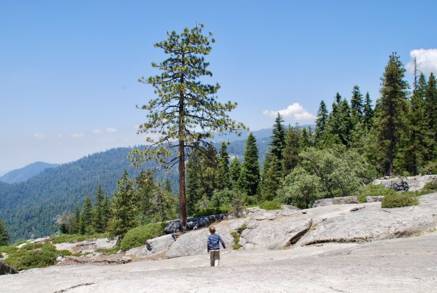 Onderweg in Californië