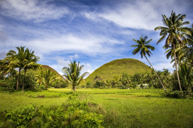 Chocolate Hills per scooter