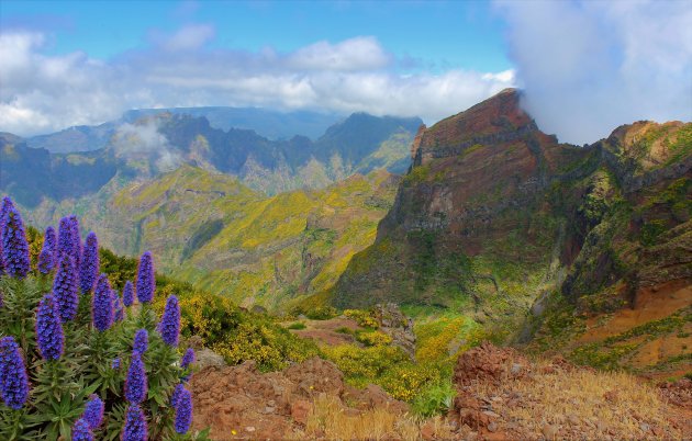 Picos do Madeira