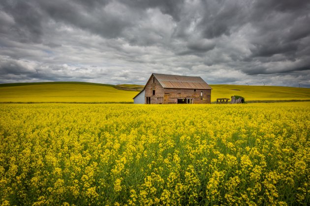 Palouse