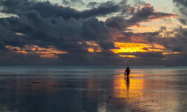 Inktvisjes zoeken op Aitutaki