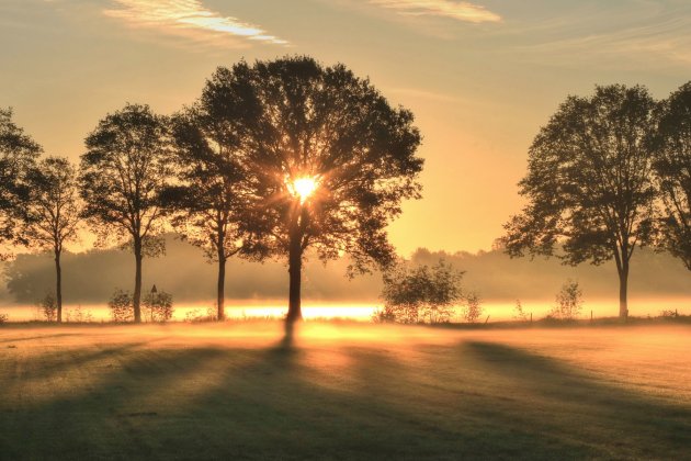 Ochtend in Twente