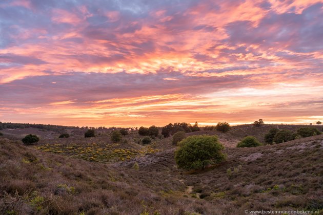 Zonsondergang op de Posbank