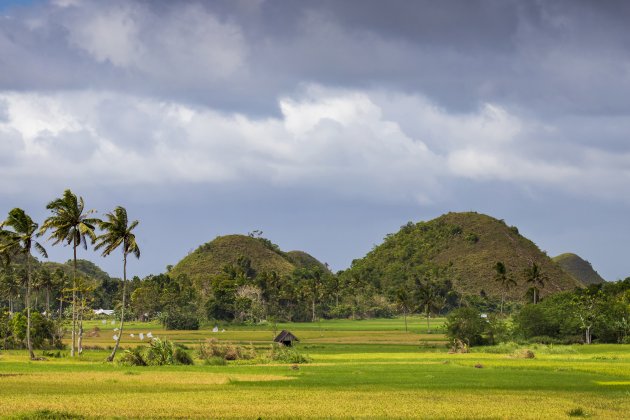 bezoek de Chocolate Hills per scooter