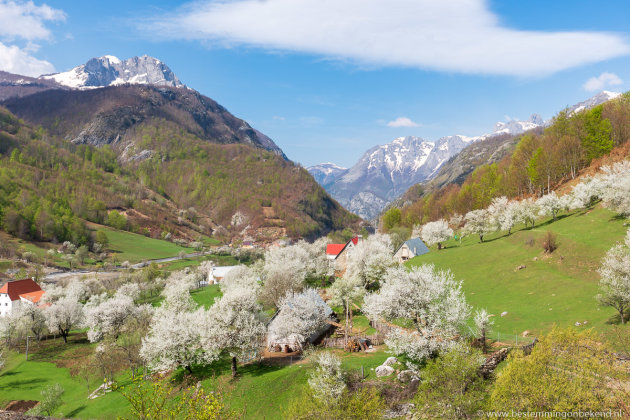Lente in de Albanese Alpen