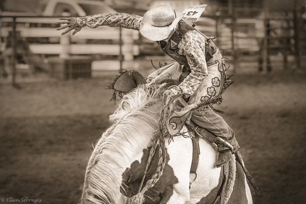 Cowboys kijken in Amerika