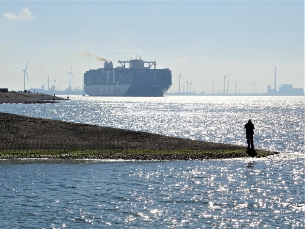 Grootste containerschip op de Westerschelde.