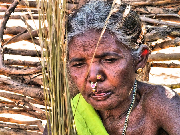 Adivasi gebied