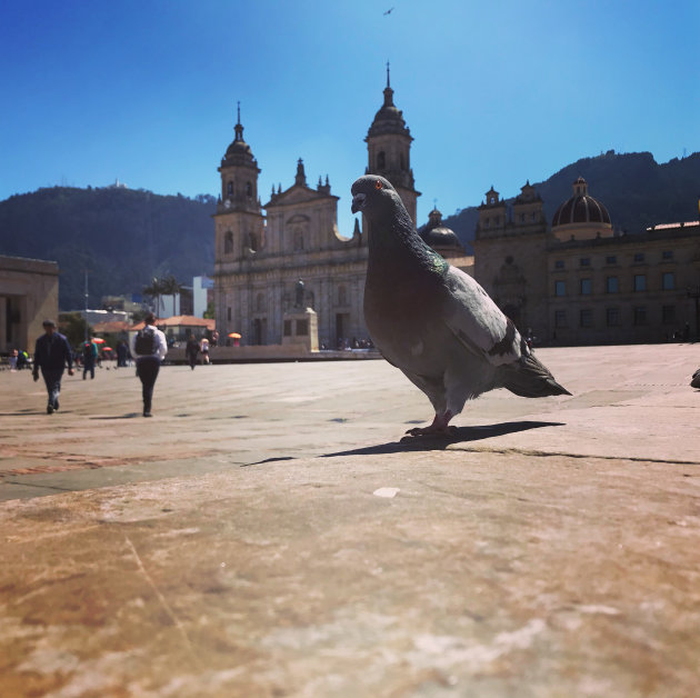 Plaza de Bolivar