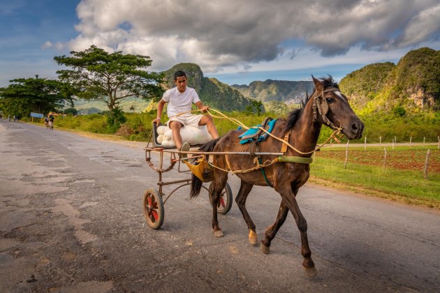 Met paard en kar in Viñales